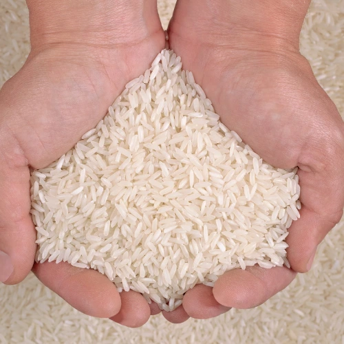 Rice Quality
