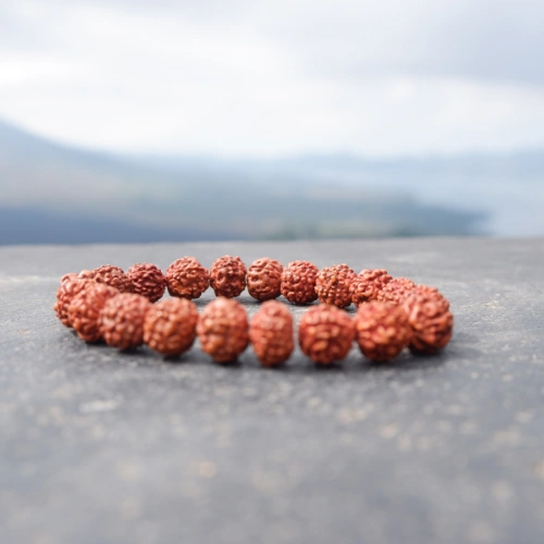 rudraksha